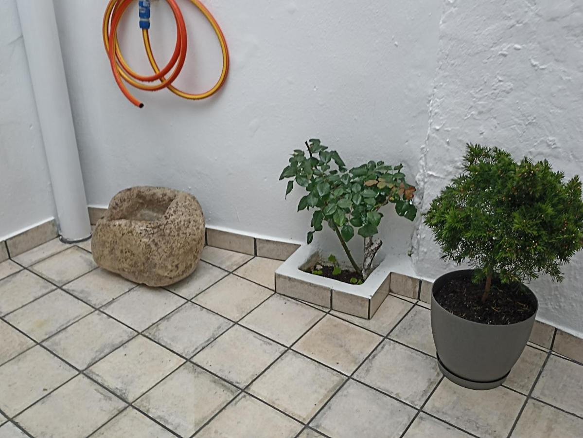 El Hechizo Del Bailon Guest House Zuheros Exterior photo